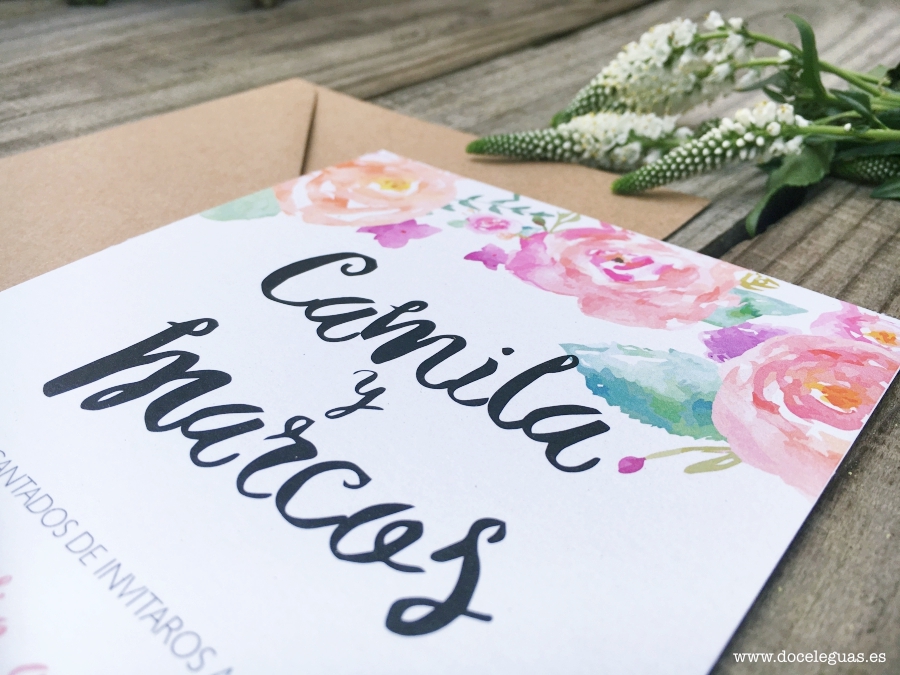 Doce Leguas | Estudio Creativo