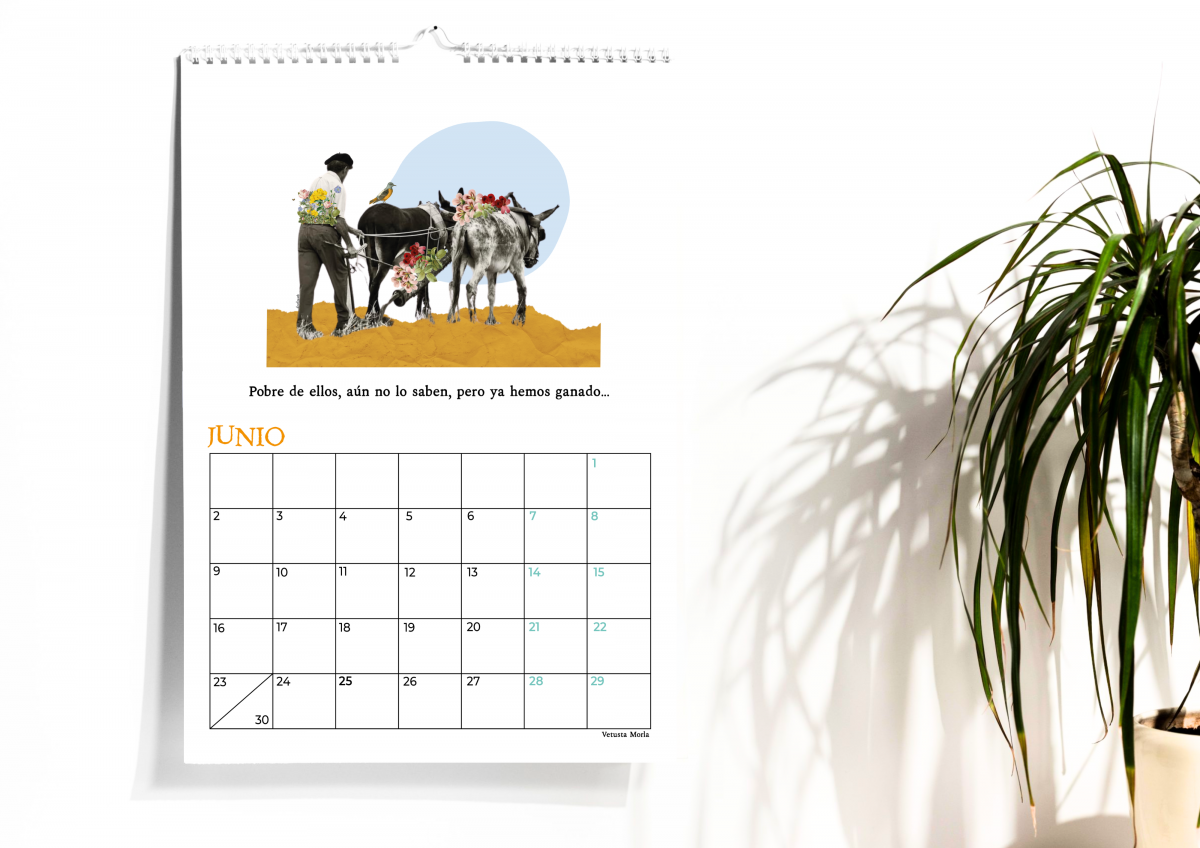 Doce Leguas | Estudio Creativo