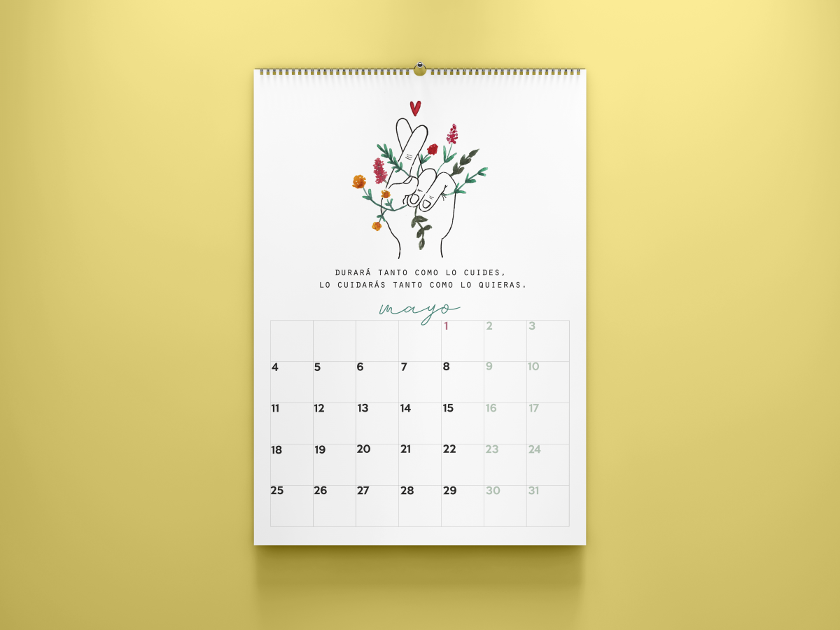 Doce Leguas | Estudio Creativo