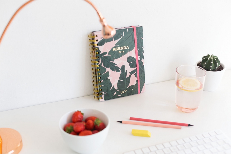 Doce Leguas | Estudio Creativo