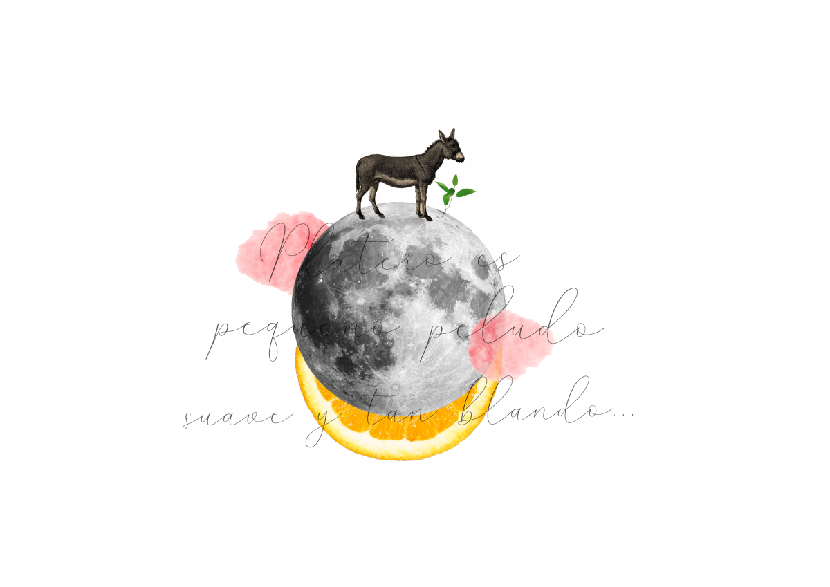 Doce Leguas | Estudio Creativo